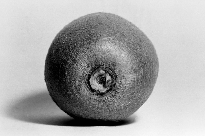 A single kiwi fruit is centered in a black and white still life.