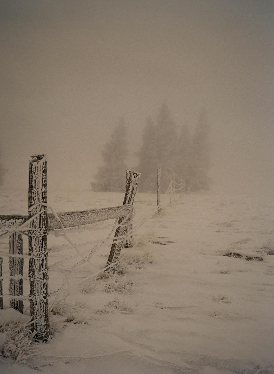 A wooden fence covered in frost stretches across a snow-covered field with trees in the background shrouded in fog.