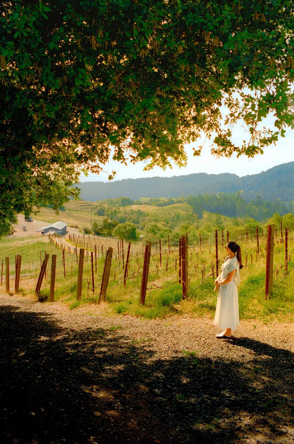 A woman stands on a gravel path next to a vineyard with rolling hills and a barn in the background.