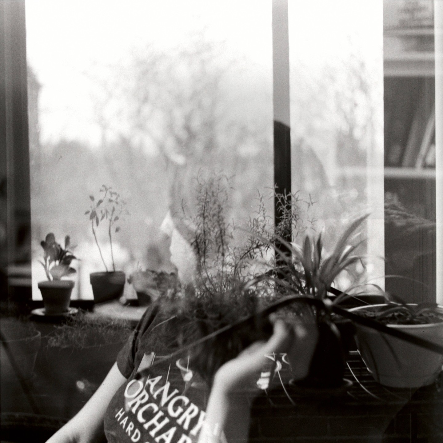 A woman is visible through a window with several potted plants on the sill.