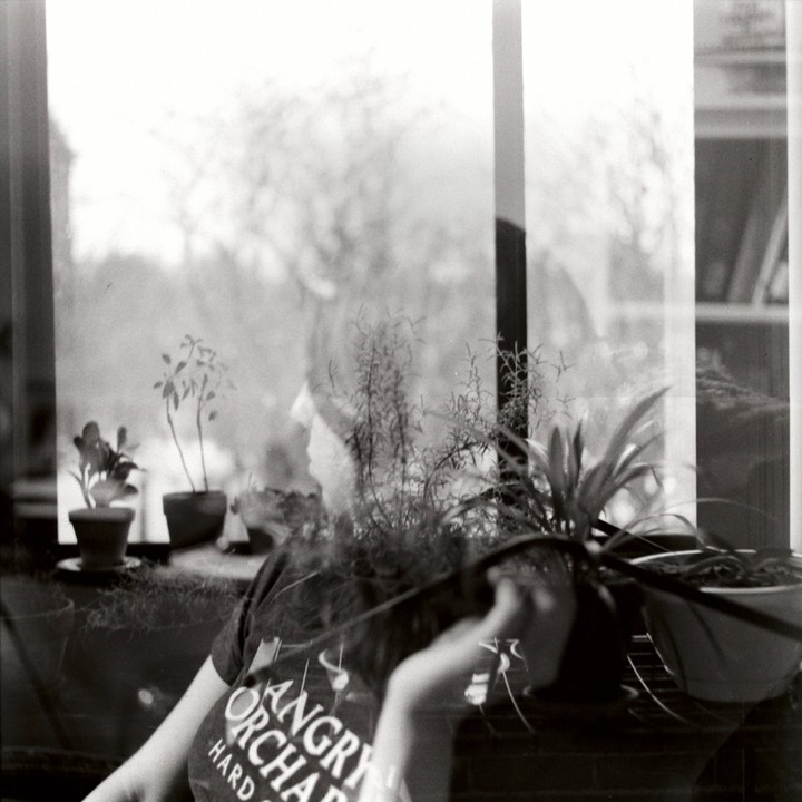 A woman is visible through a window with several potted plants on the sill.