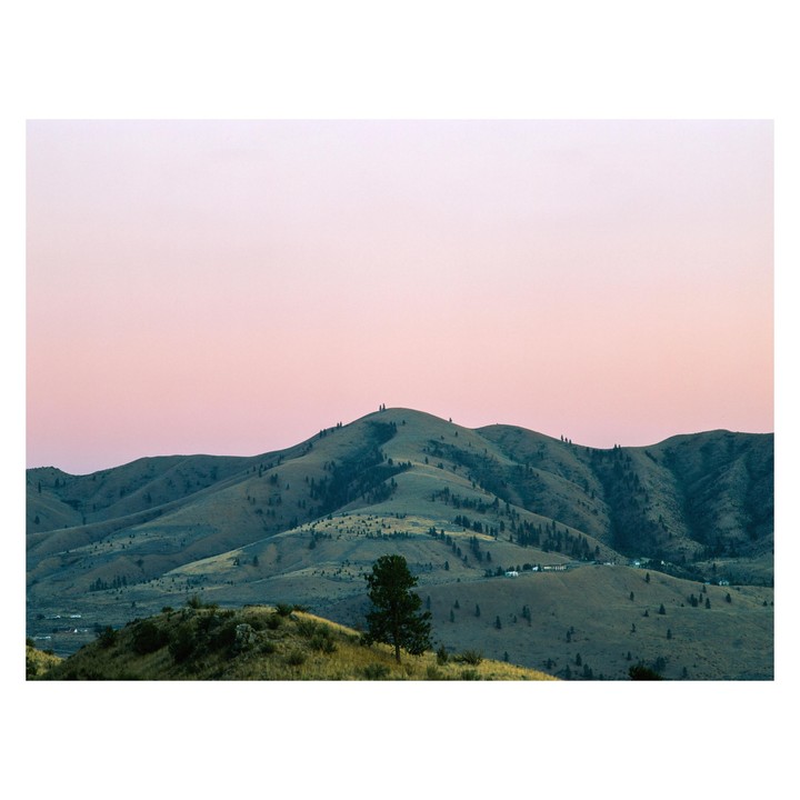 Rolling hills covered in sparse trees are visible under a pink sky.
