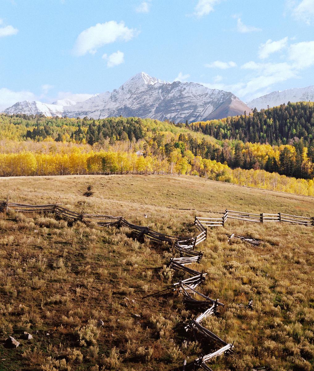 A wooden fence zigzags across a grassy hill with a forest of yellow and green trees and a snow-capped mountain in the background under a blue sky.