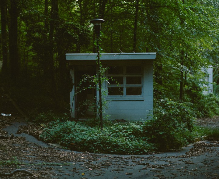 An abandoned booth with a window and a lamp post covered in vines stands in a forest.