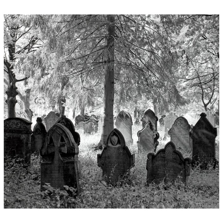 A black and white image shows a cemetery with many old gravestones and trees.