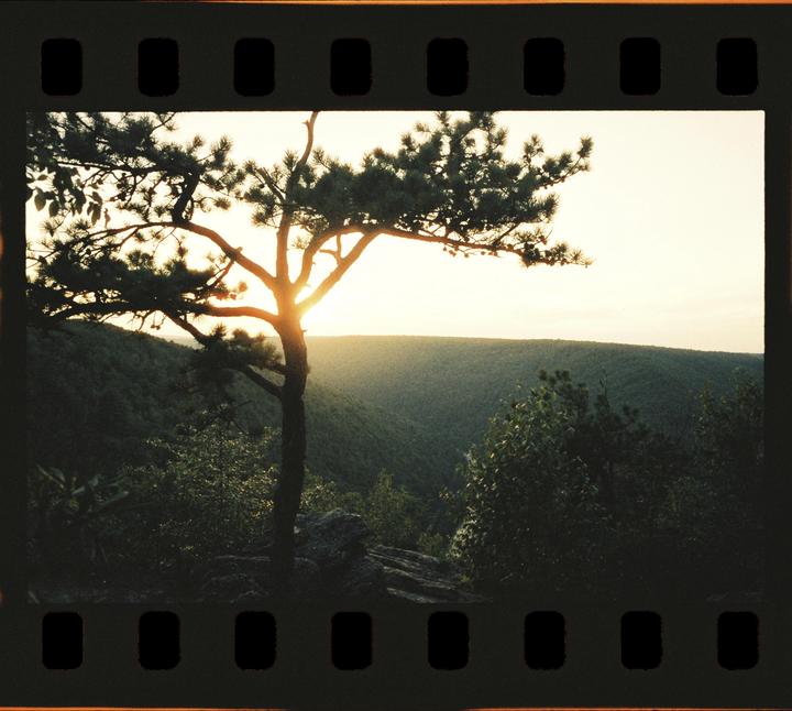 A tree is silhouetted against a bright sunset over a valley.