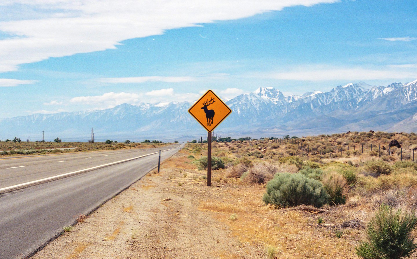 A deer crossing sign stands beside a road with snow-capped mountains in the distance.