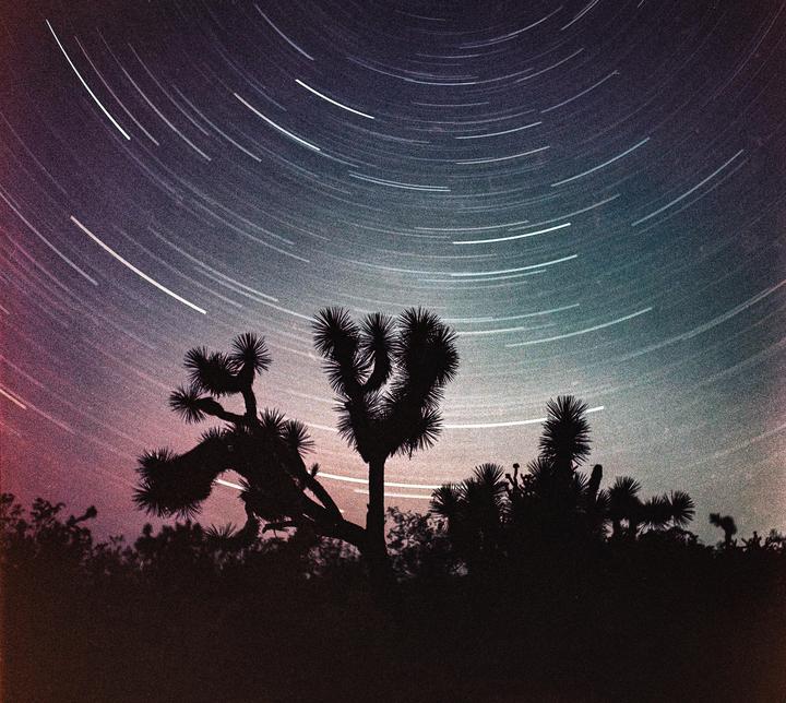 A Joshua tree is silhouetted against a night sky with star trails.