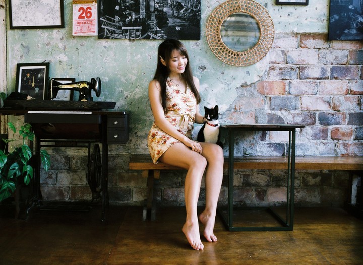 A woman in a floral dress sits on a wooden bench next to a black and white cat, with a sewing machine and brick wall in the background.