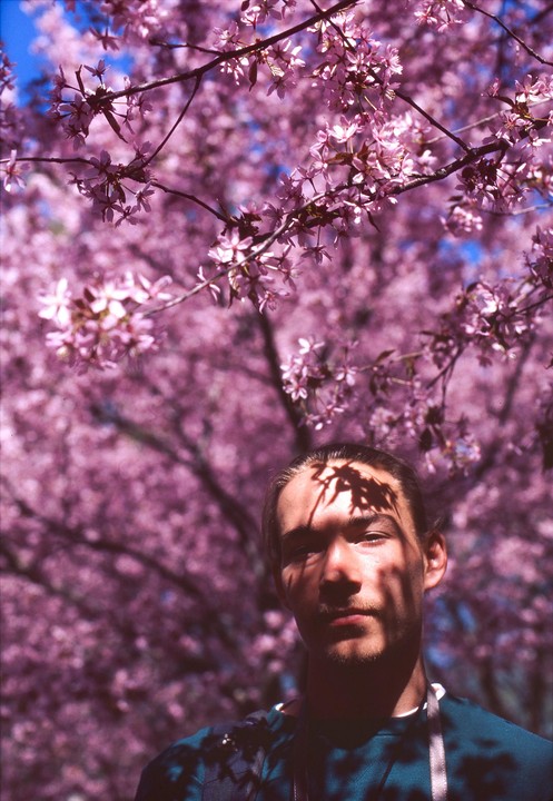 A man with a goatee stands in front of a blooming pink tree, with shadows from leaves cast across his face.