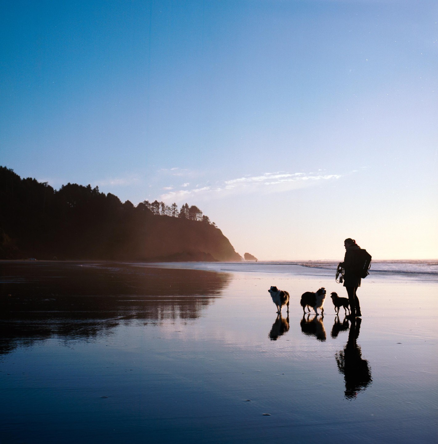 A woman and three dogs stand on a wet beach at sunset, with a forested cliff in the background.