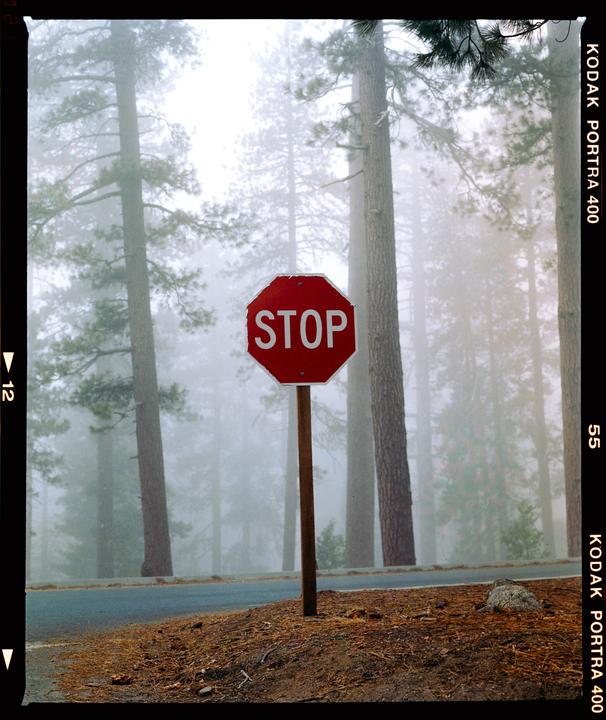 A red stop sign stands beside a road in a hazy forest.