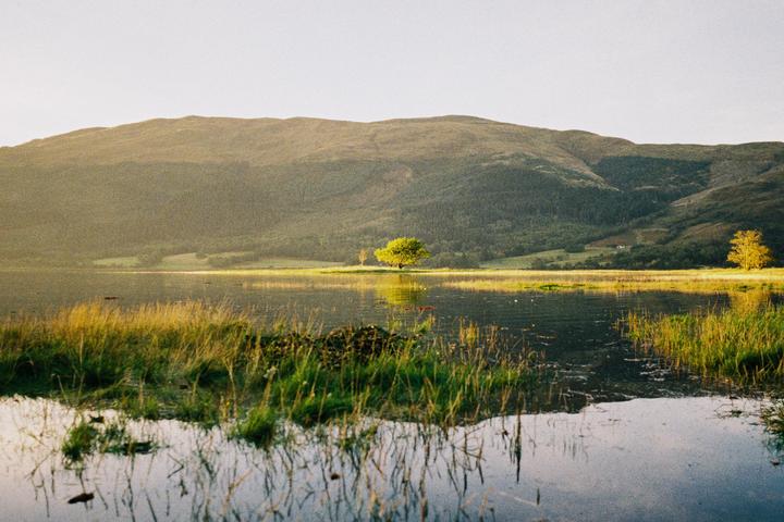 A body of water with tall grass in the foreground reflects a distant tree and a large mountain.