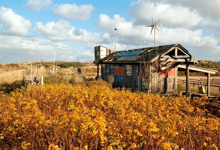 A wooden shack with solar panels and a wind turbine on its roof stands among yellow foliage and dunes under a cloudy sky.