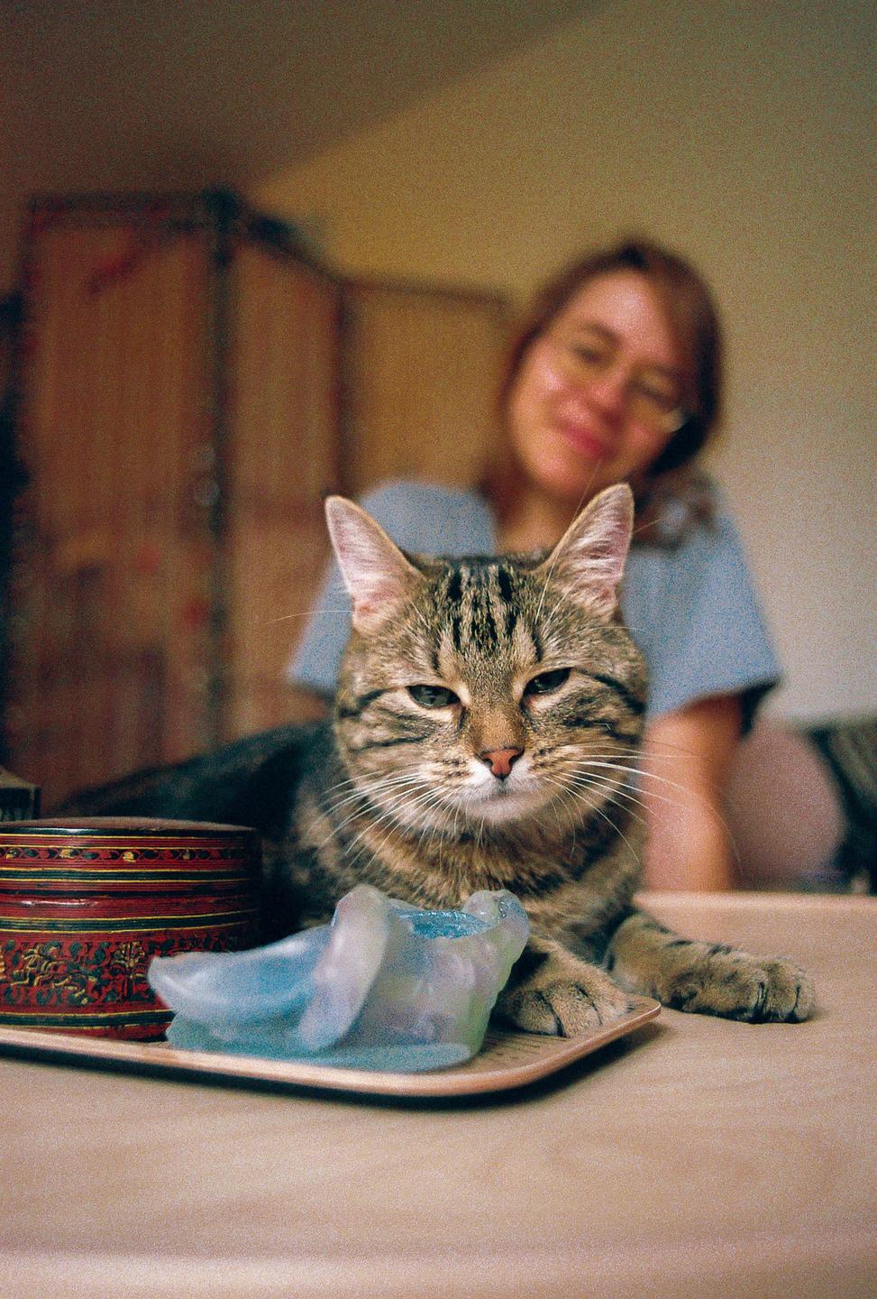 A tabby cat is resting on a table next to a decorative box and a blue object, with a woman out of focus in the background.