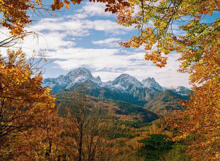 Snow-capped mountains rise above a valley filled with autumn trees, framed by branches with orange leaves.