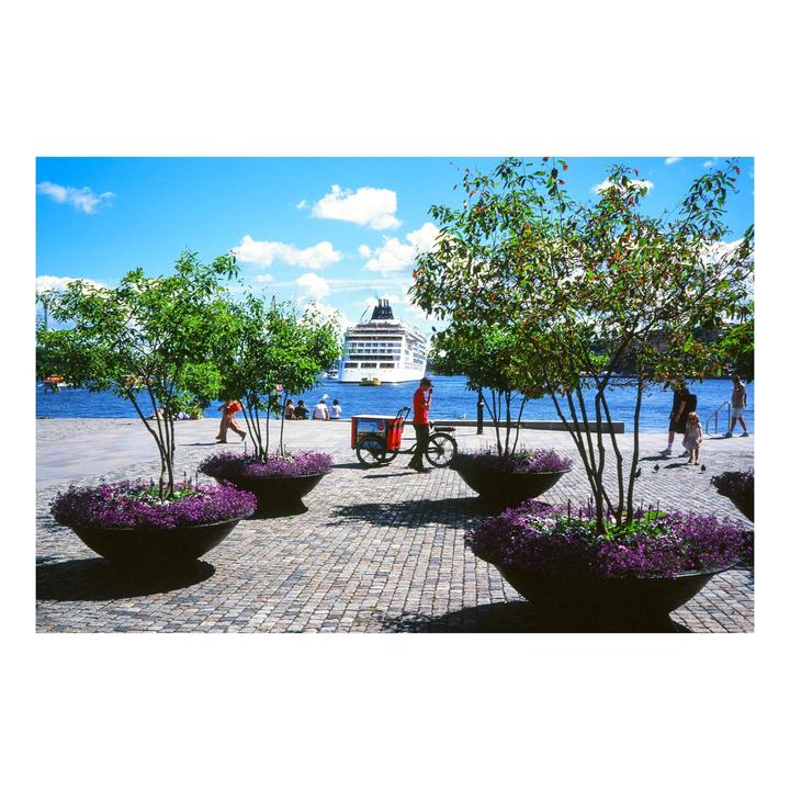 A large white cruise ship sails on blue water past a cobblestone promenade with trees and flower planters.
