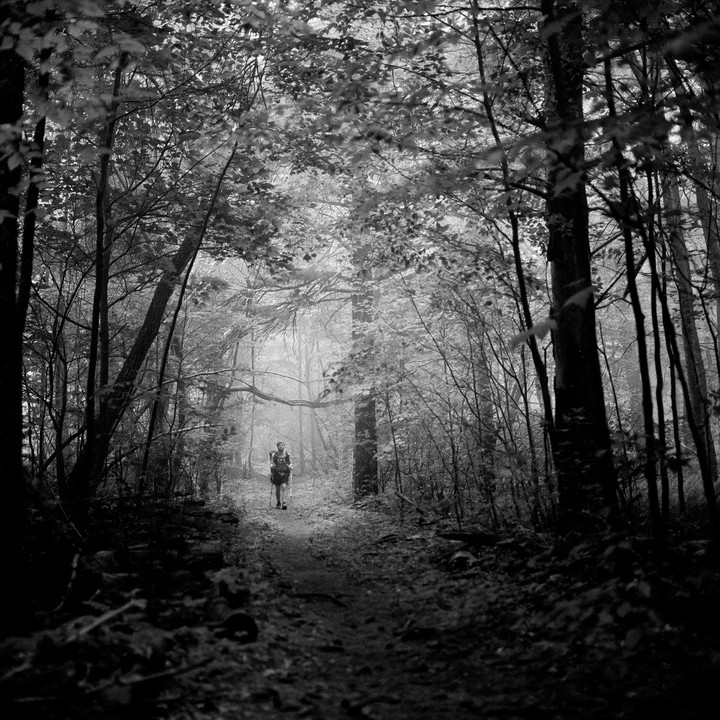 A person with a backpack walks along a path through a dense forest.
