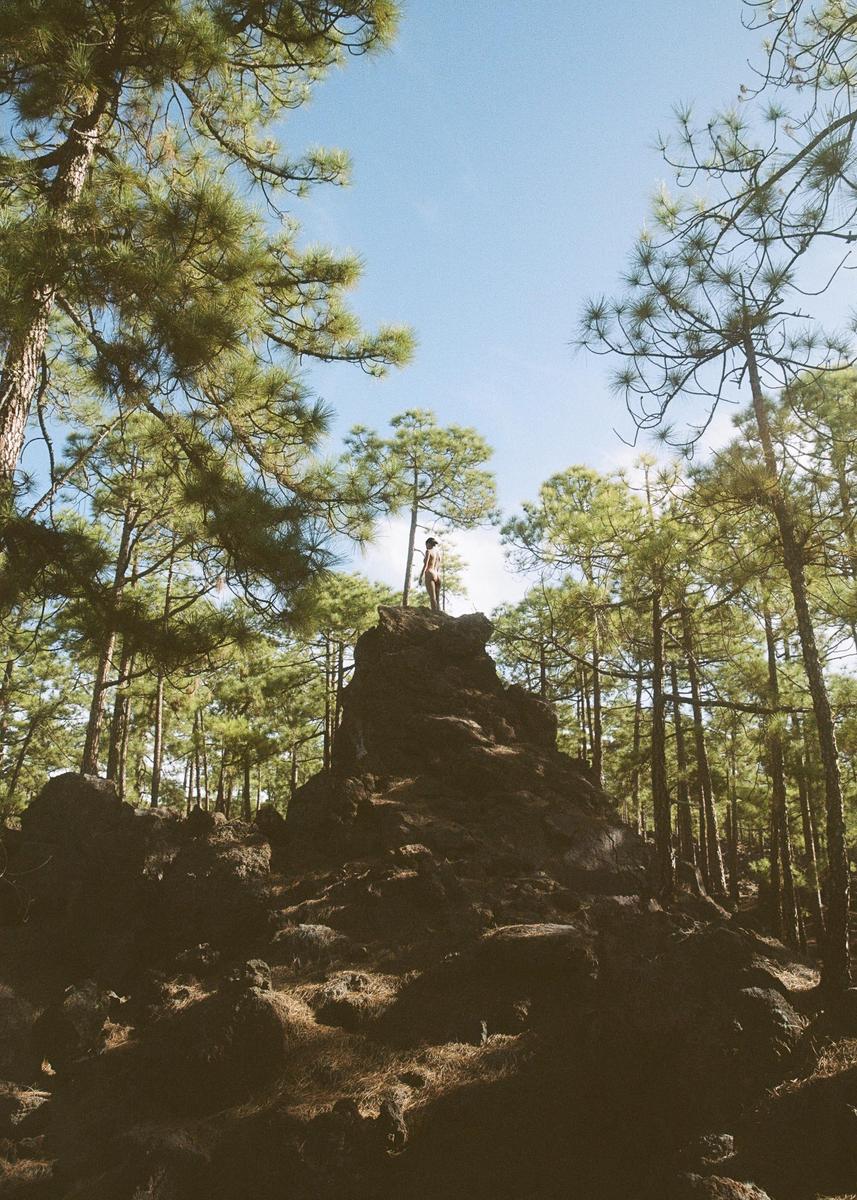 A person stands on a large rock formation surrounded by tall pine trees under a clear sky.