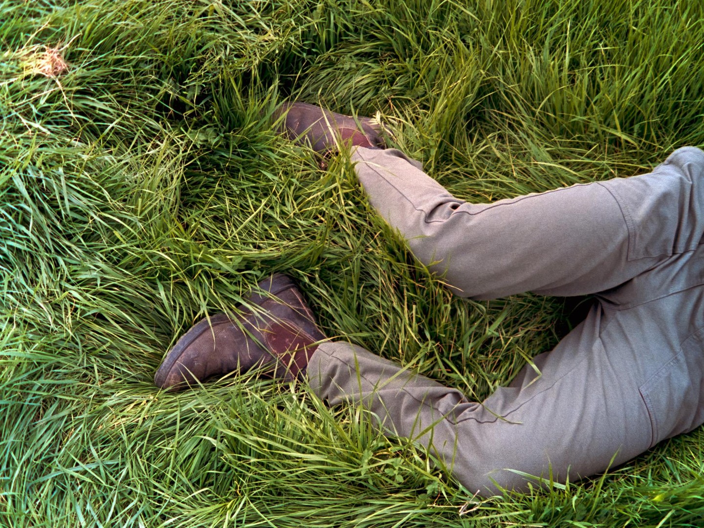 A person wearing brown boots and gray pants is lying in tall green grass.