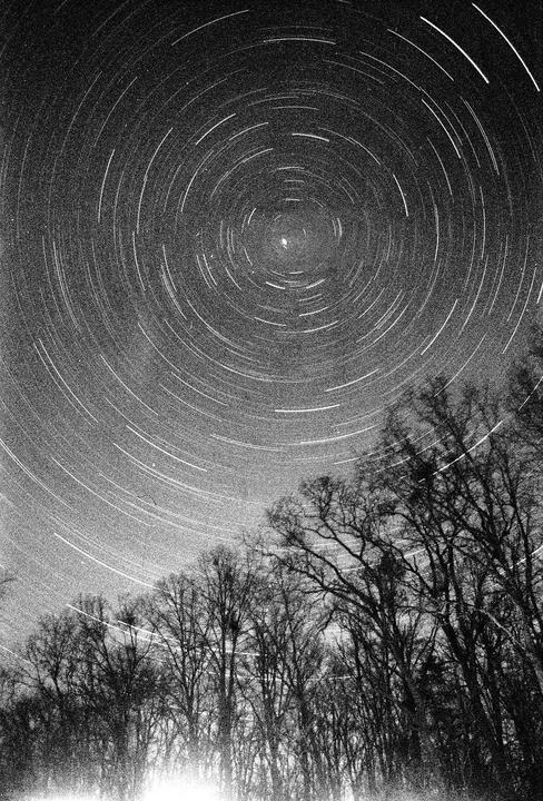 Star trails circle Polaris above a forest at night.