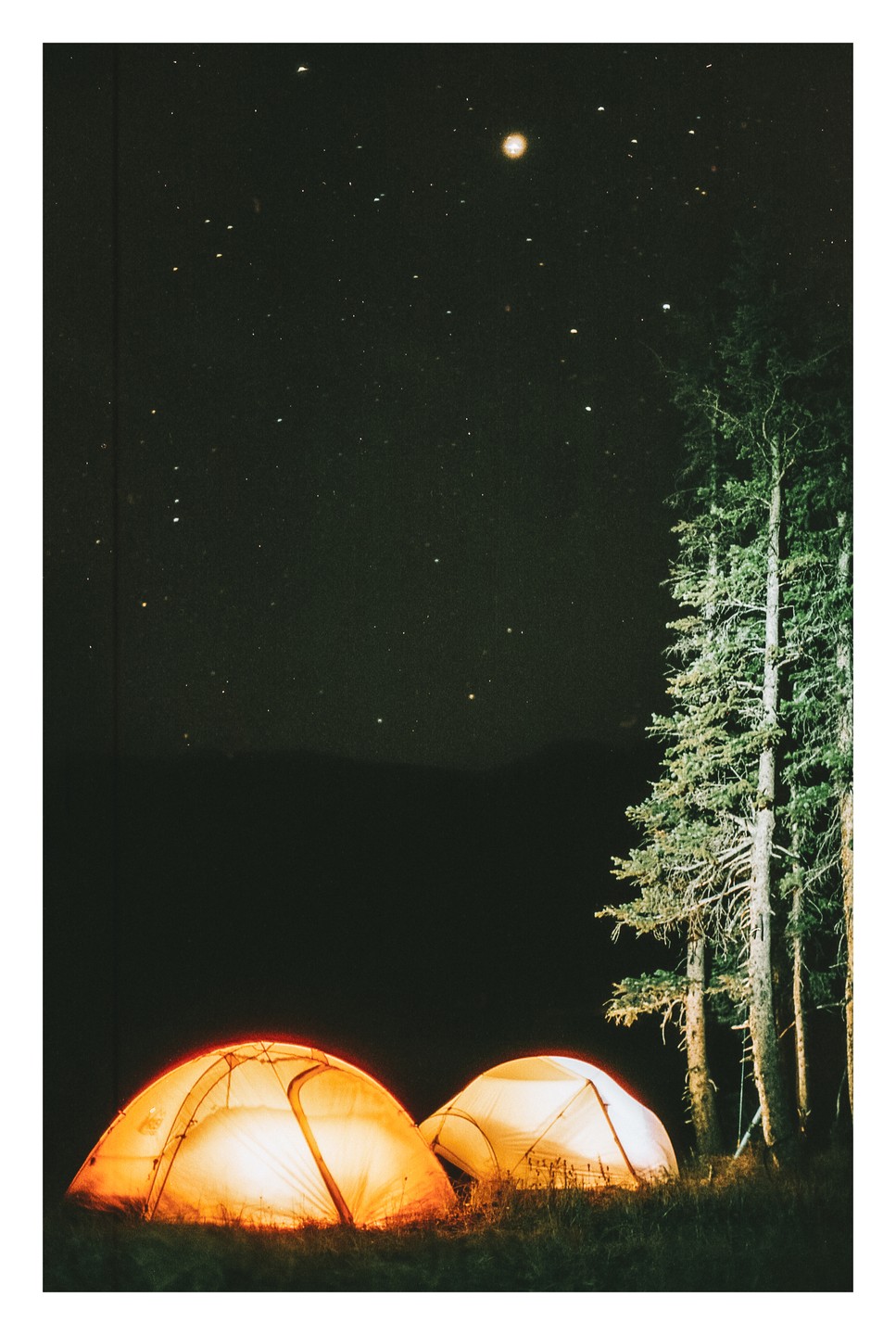 Two illuminated tents sit on a grassy hill next to tall pine trees under a starry night sky.