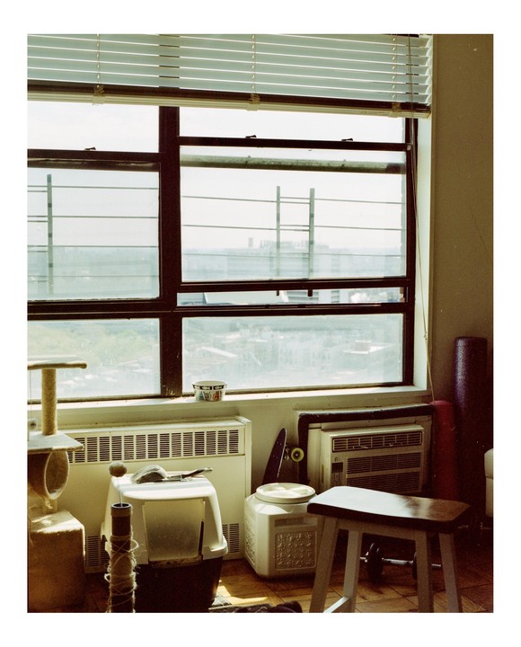 A window with blinds overlooks a city, with a cat tree, litter box, and skateboard visible in the room.