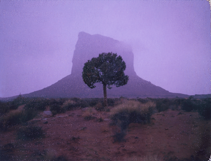 A lone tree stands in a desert landscape with a large mesa in the background under a purple sky.