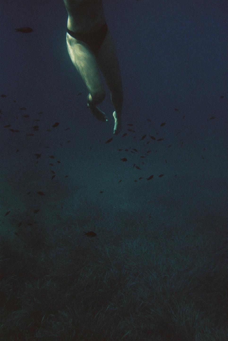 A person's legs are visible underwater with small fish swimming around them and seagrass on the seabed.