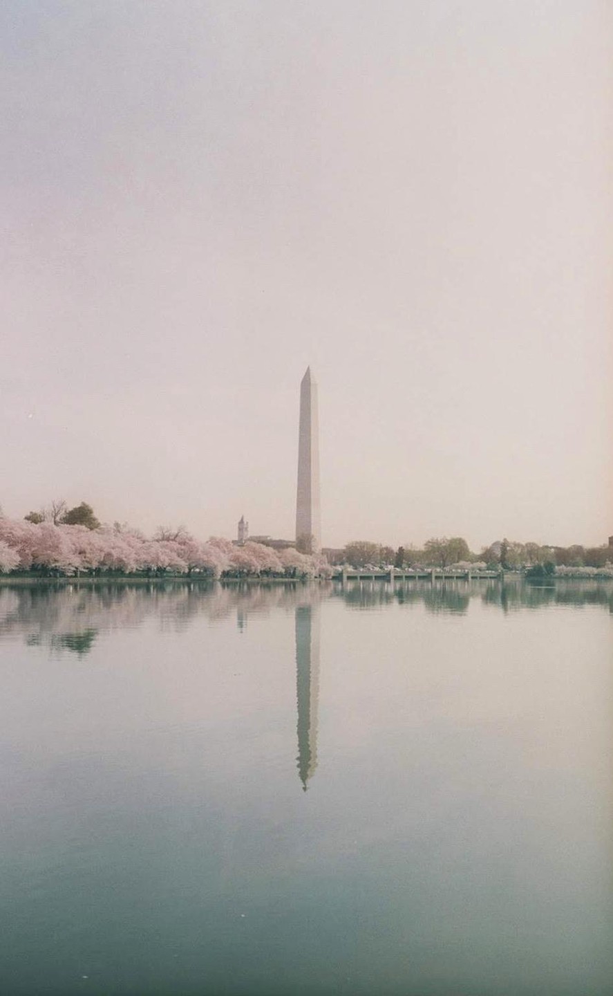The Washington Monument is reflected in the Tidal Basin, surrounded by cherry blossoms.