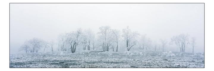 A panoramic landscape shows a forest of trees covered in frost and surrounded by fog.