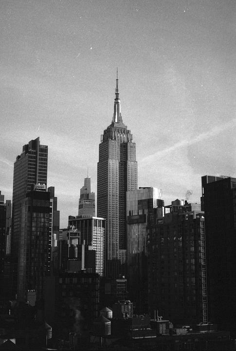 The Empire State Building rises above other buildings in a city skyline.