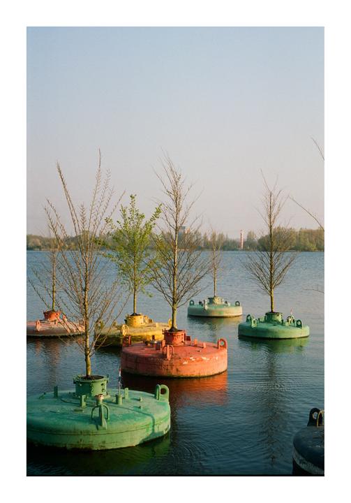 Several colorful buoys with trees growing out of them float on a body of water.