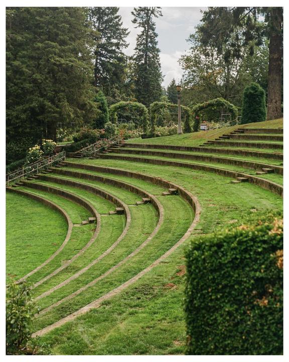 A terraced lawn with concrete steps and green grass leads up to a rose garden with arches and trees.