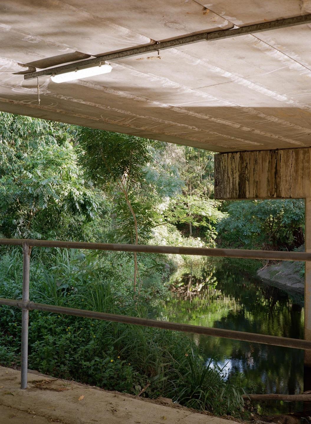 A concrete bridge with a fluorescent light fixture hangs over a creek surrounded by lush green foliage.