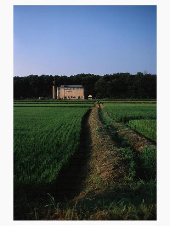 A narrow dirt path leads through a vibrant green field towards a building with a tall steeple and a dense line of trees under a clear blue sky.