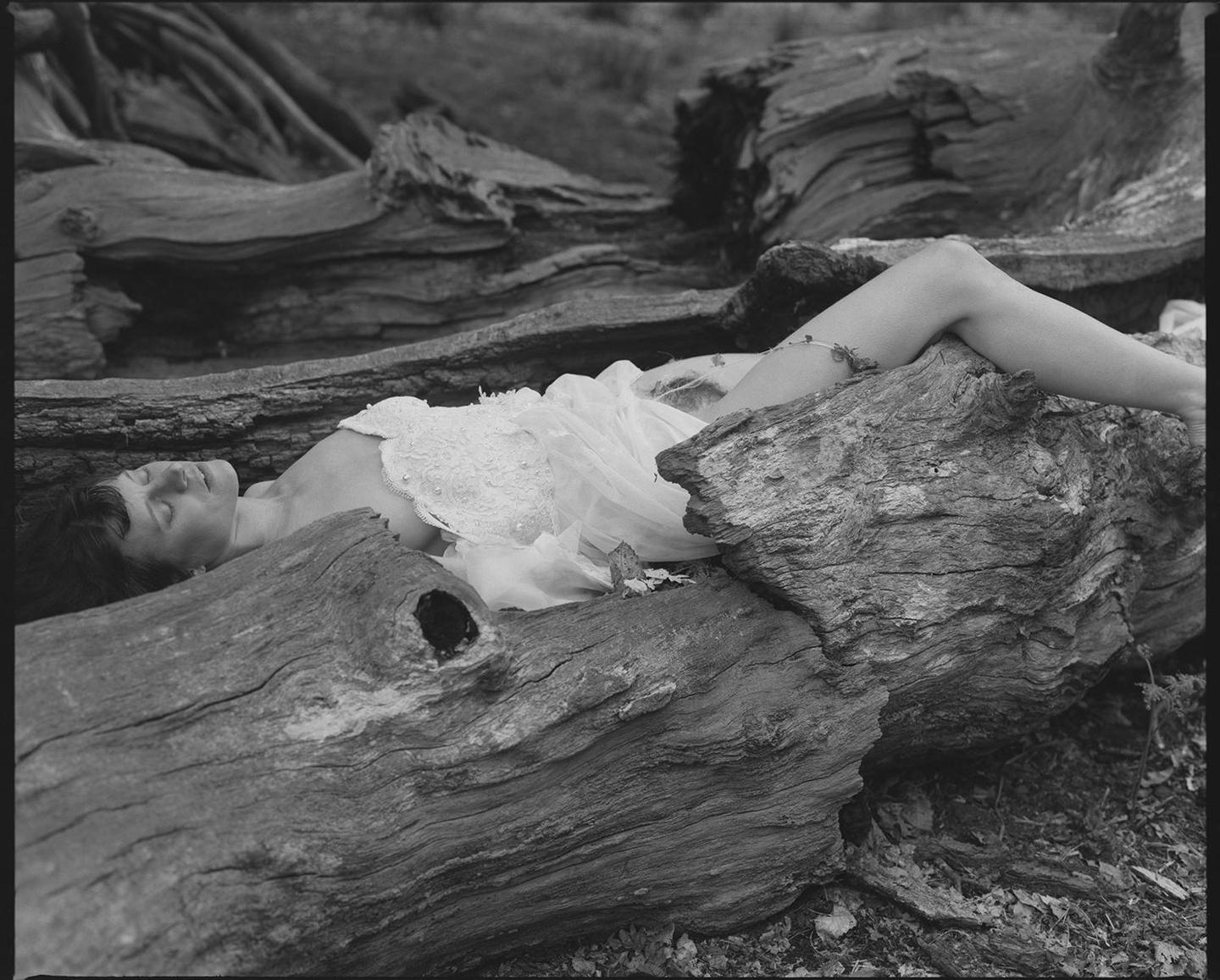 A woman in a white dress lies on a large tree trunk in a forest.