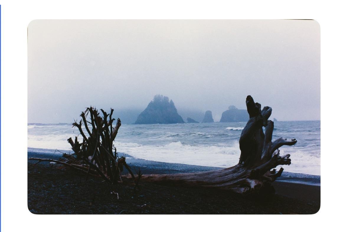 Driftwood lies on a dark sand beach with waves crashing and misty sea stacks in the distance.