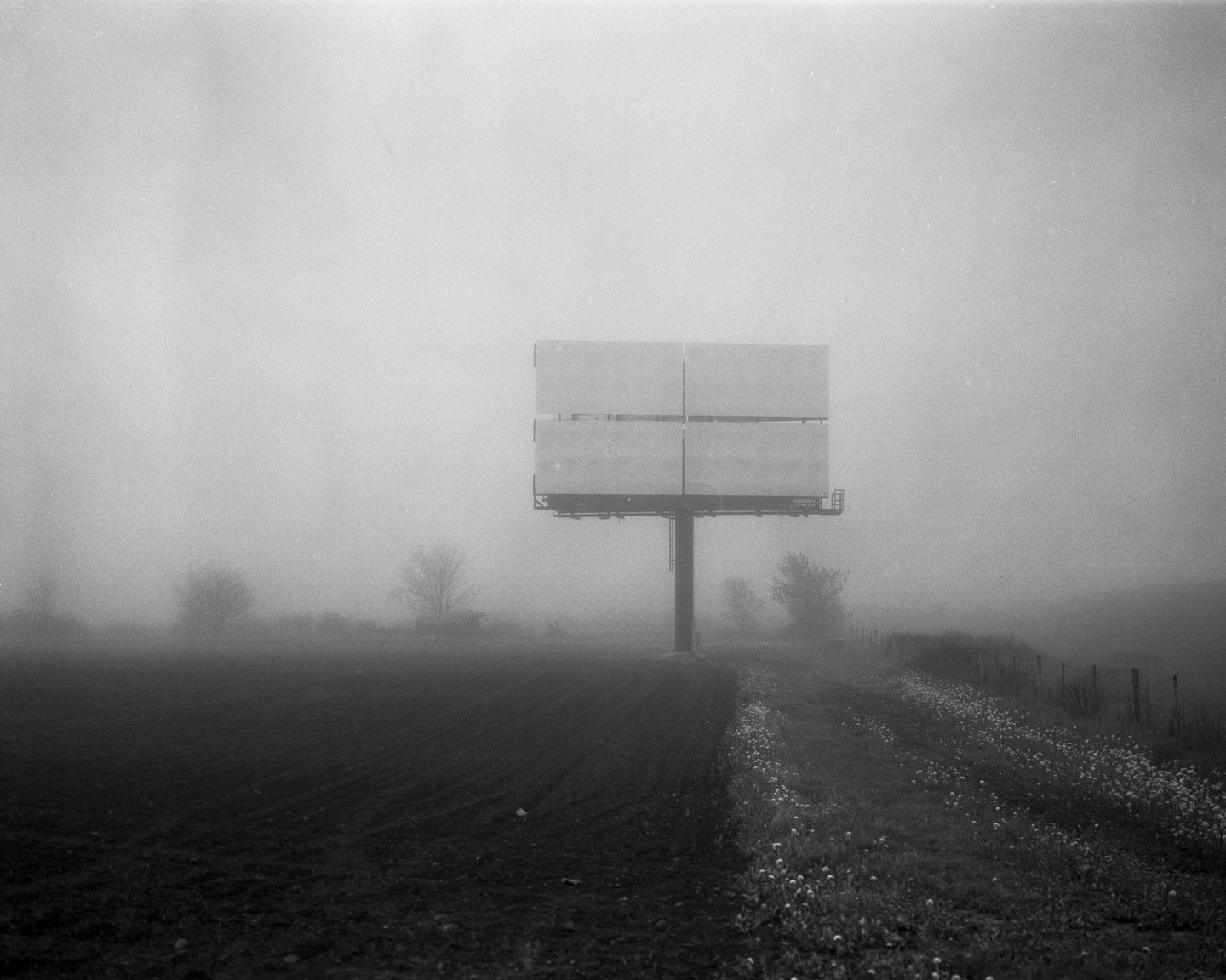 A large billboard stands in a field on a misty morning.