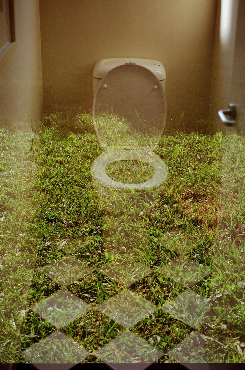 A double exposure shows a toilet with its lid open superimposed over a grassy field with a diamond pattern.