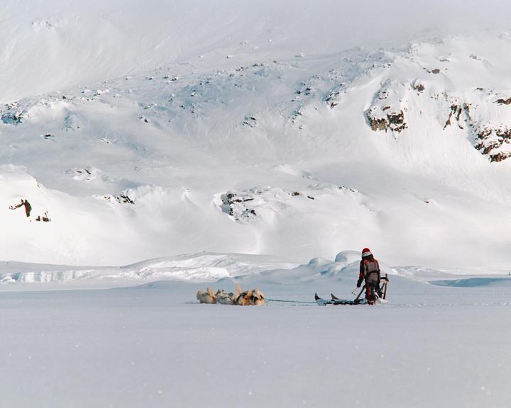 A person in a red hat stands with a dogsled team in a vast, snow-covered landscape.