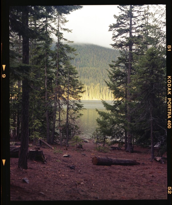 A forest of pine trees surrounds a lake with a hazy mountain in the background.