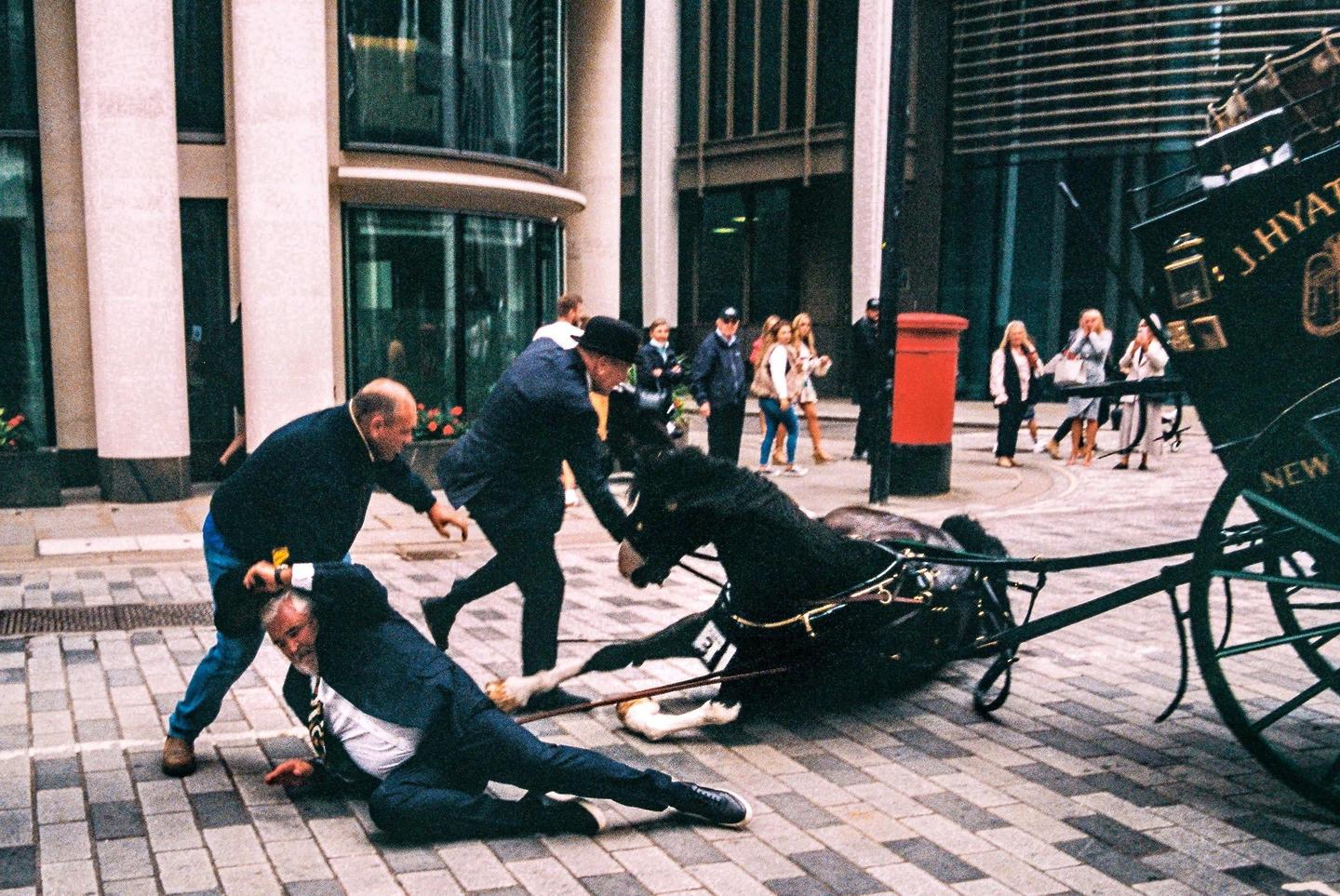 Two men help a third man who has fallen to the ground next to a horse that has also fallen while pulling a carriage on a city street.