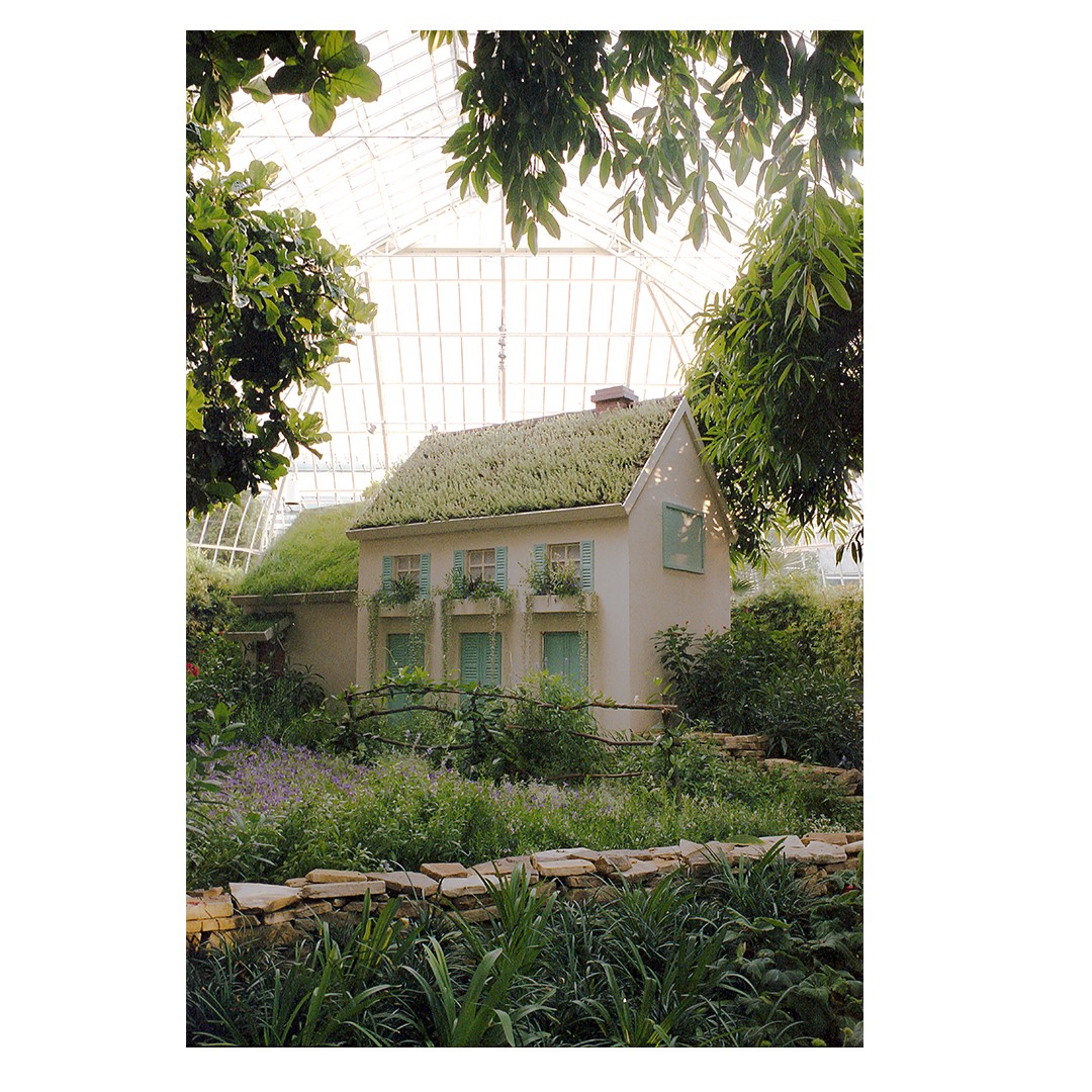 A small house with a green roof and blue shutters is surrounded by lush plants and flowers under a glass ceiling.