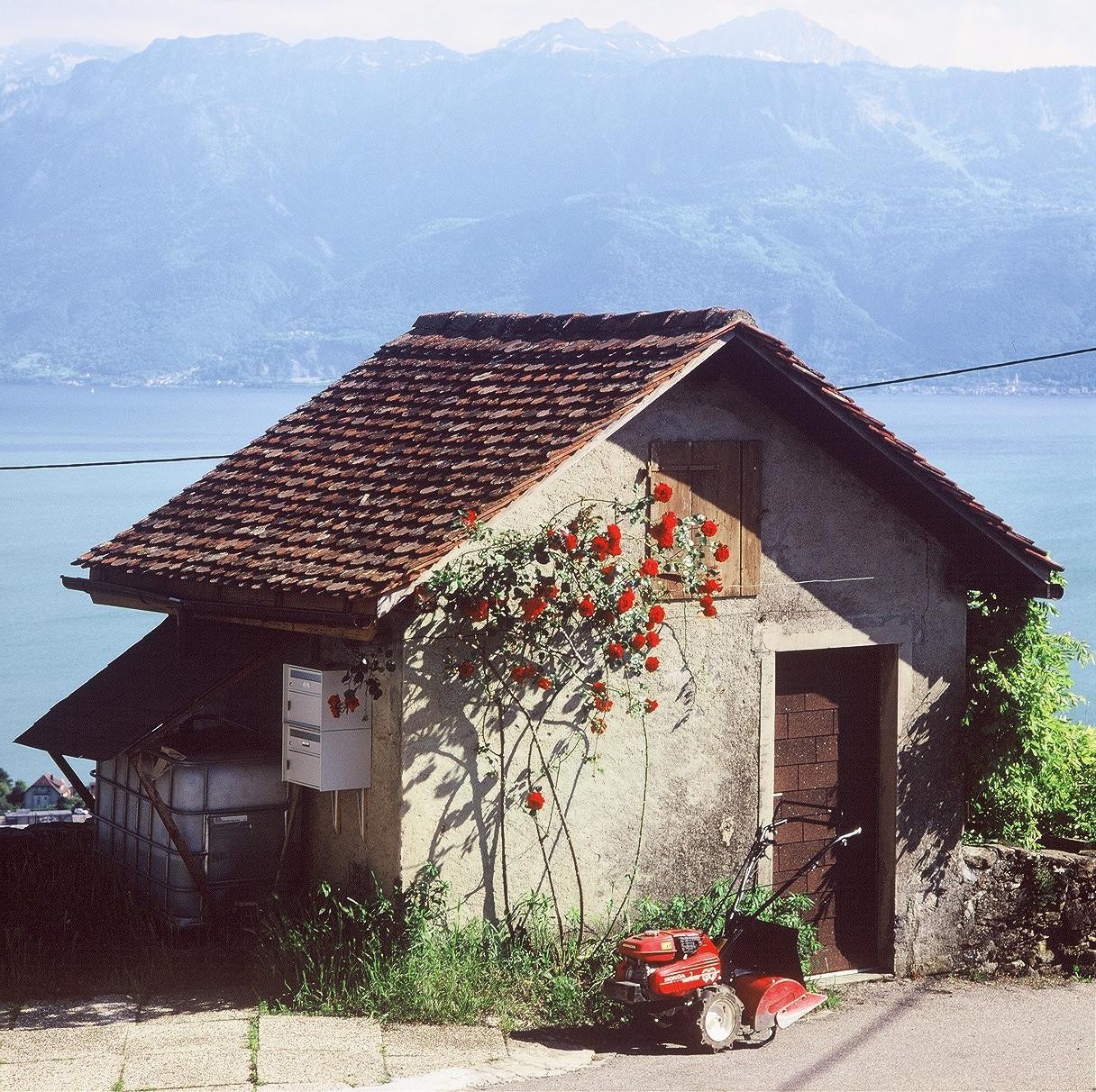 A small house with a tiled roof and red roses growing on its wall stands before a large lake and distant mountains.