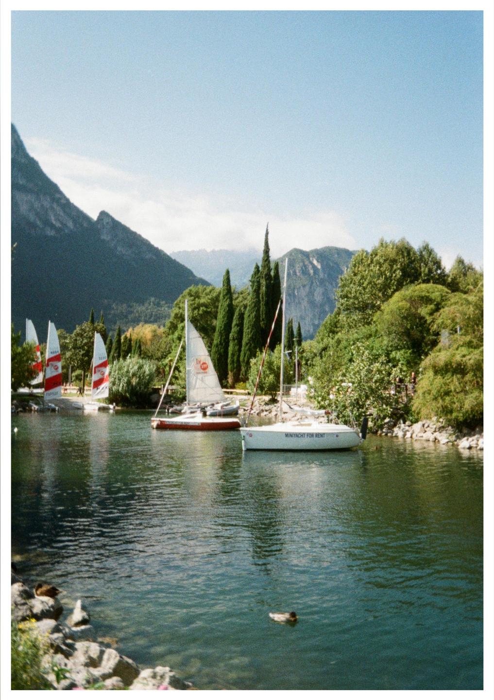 Sailboats are docked on a lake with mountains and trees in the background.