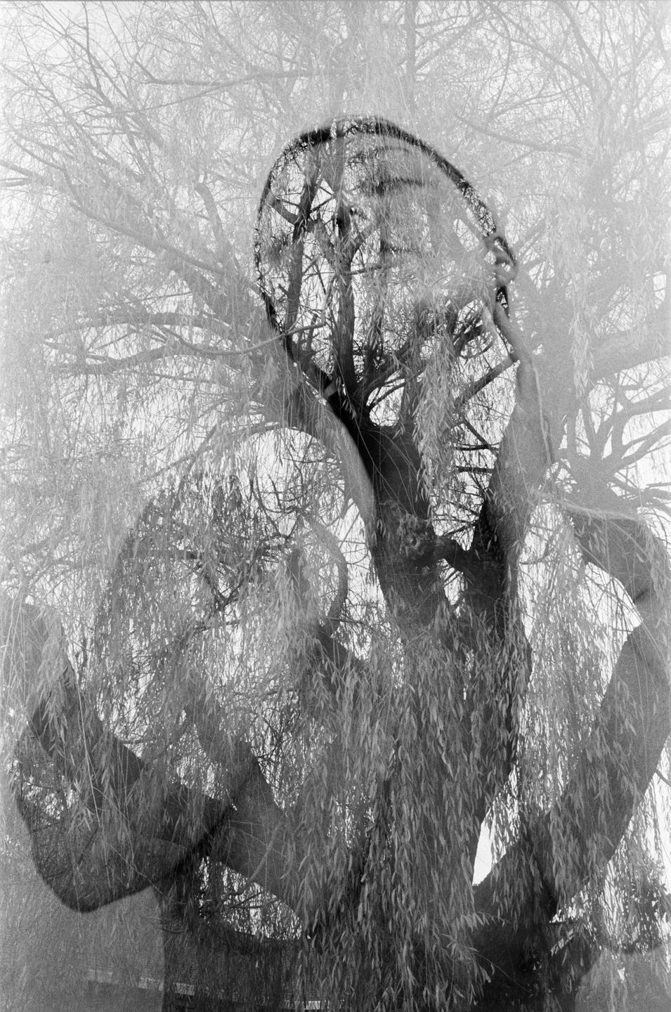 A double exposure shows a self-portrait of a person with a willow tree.