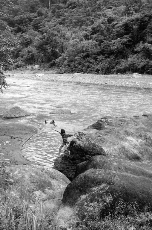 A child stands on a rock with arms outstretched, looking towards other children swimming in a river, with a forested hill in the background.