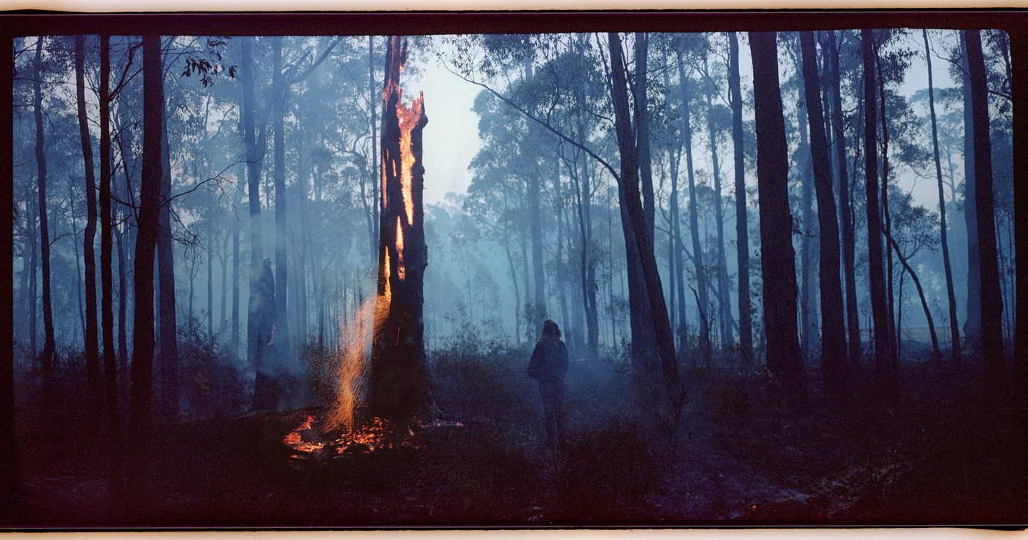 A person stands in a smoky forest with a burning tree in the foreground.
