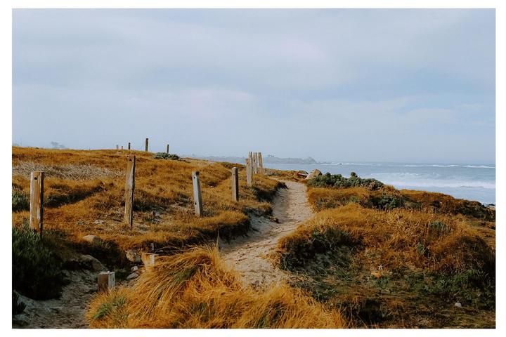 A sandy path winds through dry grass and wooden posts along a coastline with an overcast sky.